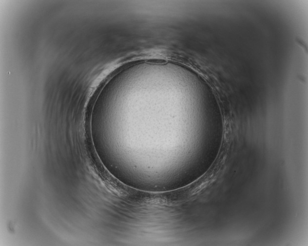 X0000101970200200807251218