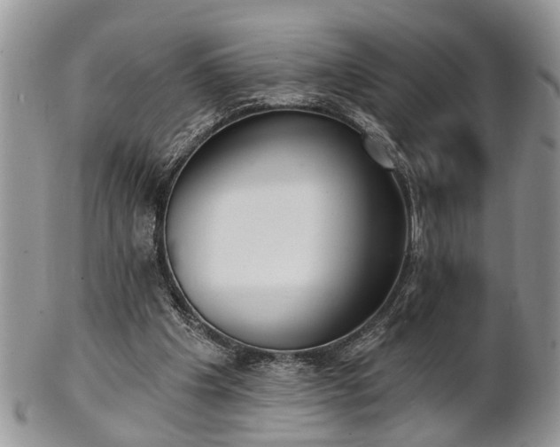 X0000101970201200807251218