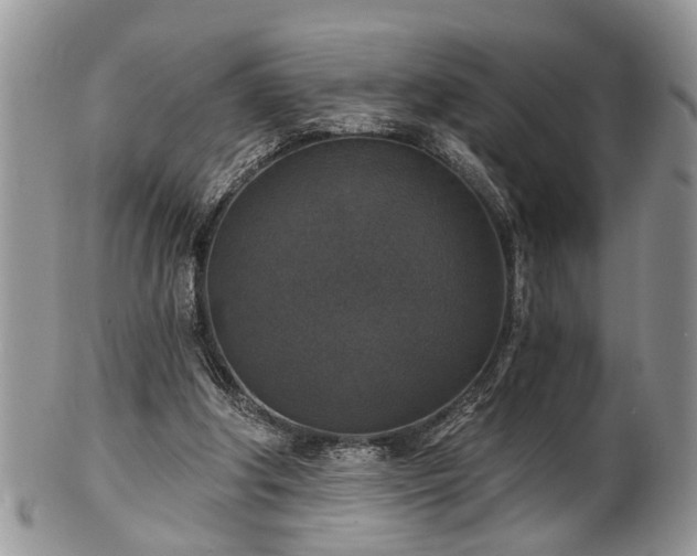 X0000101970202200807251218