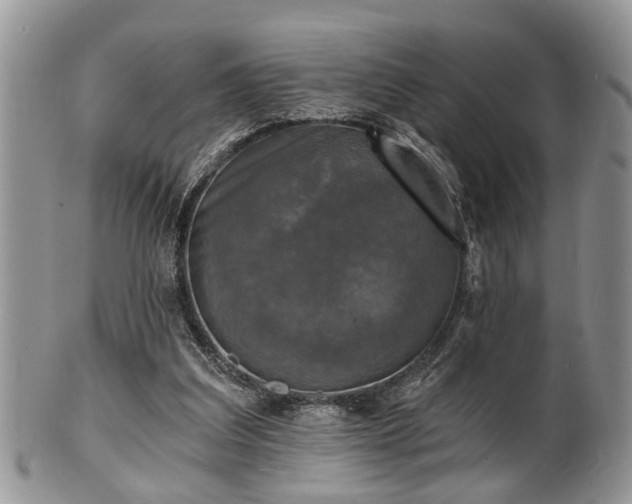 X0000101970203200807251218