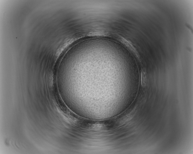 X0000101970204200807251218
