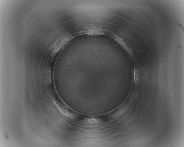X0000101970205200807251218