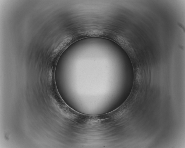 X0000101970206200807251218