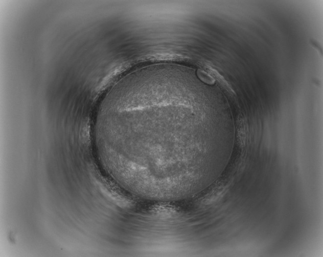 X0000101970207200807251218