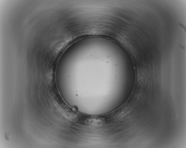 X0000101970208200807251218