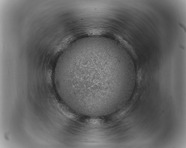 X0000101970209200807251218