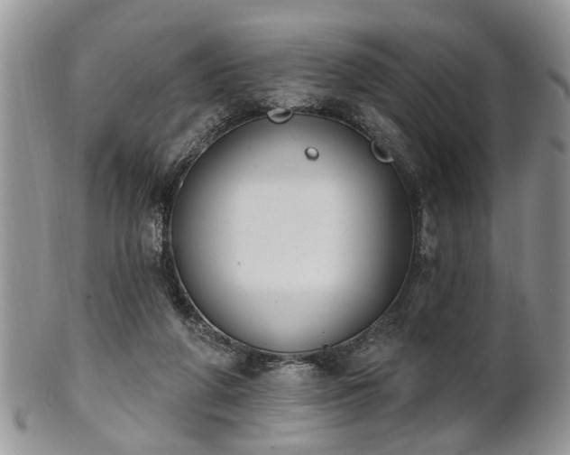 X0000101970210200807251218