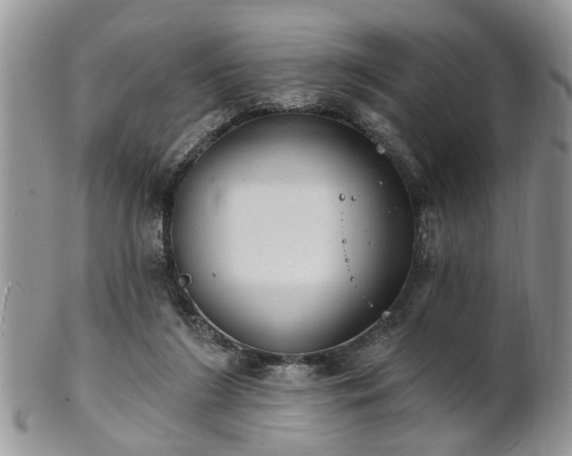 X0000101970212200807251218