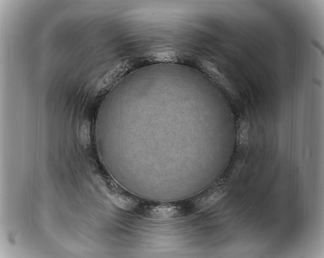 X0000101970213200807251218