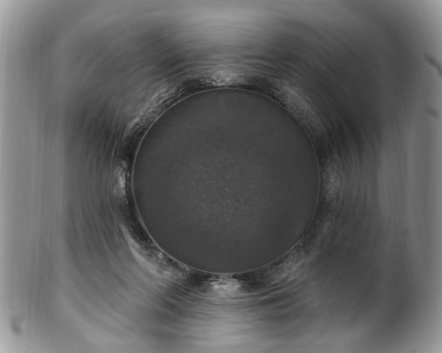 X0000101970214200807251218