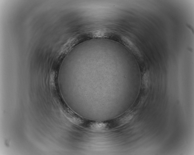 X0000101970217200807251218