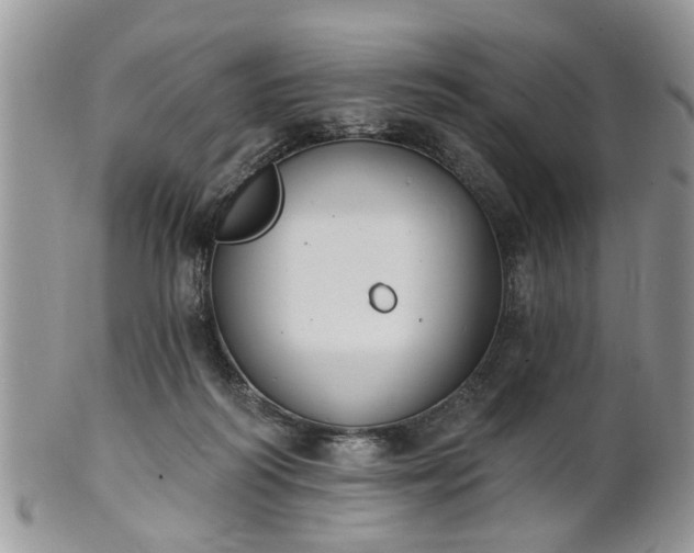 X0000101970218200807251218