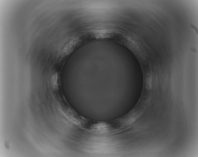 X0000101970219200807251218