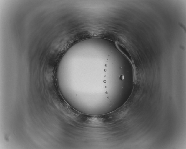 X0000101970221200807251218