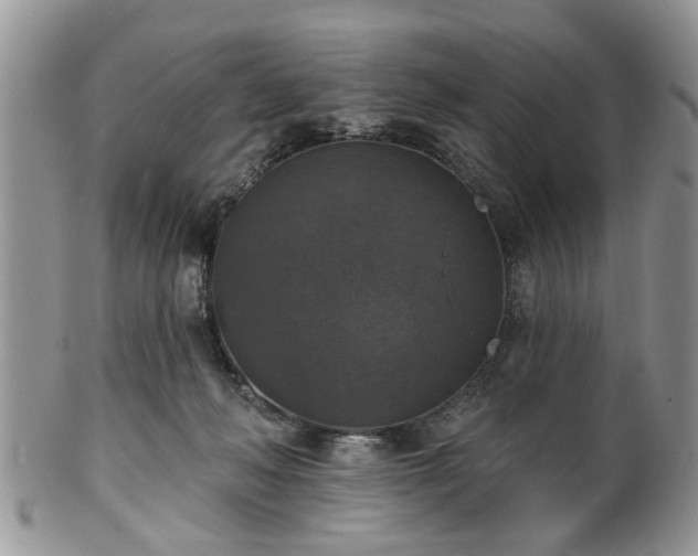 X0000101970222200807251218