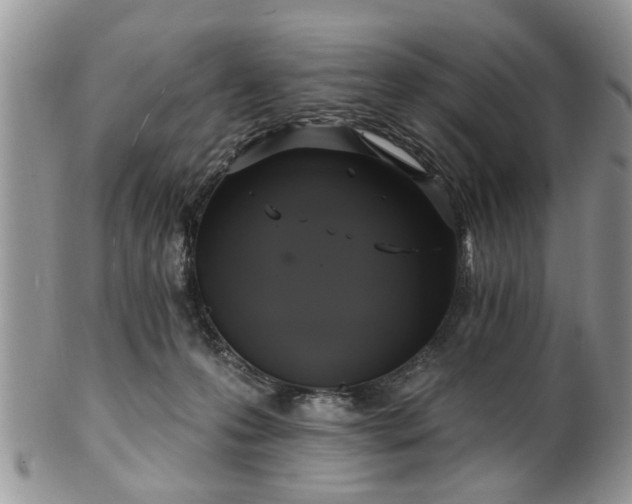 X0000101970223200807251218