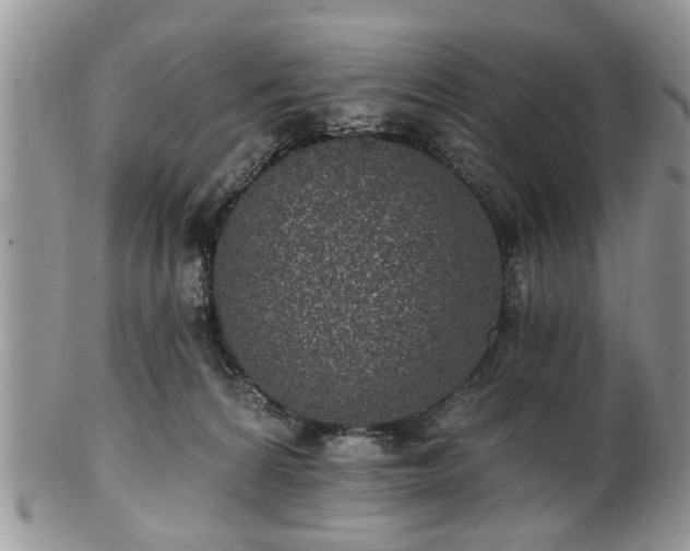 X0000101970224200807251218