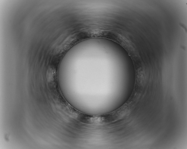 X0000101970225200807251218