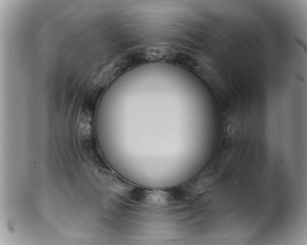 X0000101970226200807251218