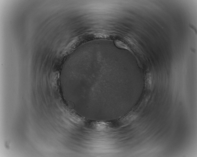 X0000101970229200807251218