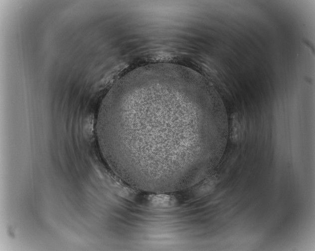 X0000101970230200807251218
