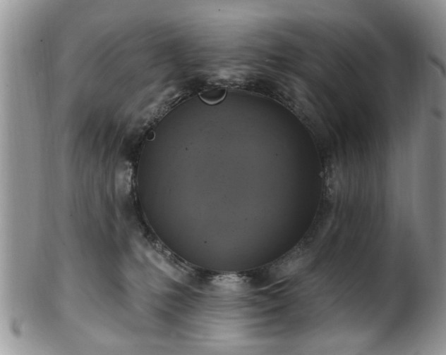 X0000101970231200807251218