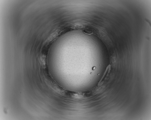 X0000101970232200807251218