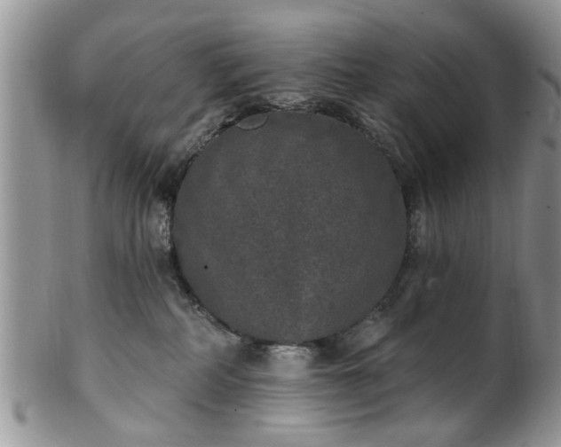X0000101970234200807251218