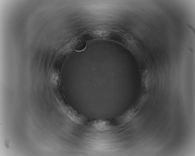 X0000101970235200807251218