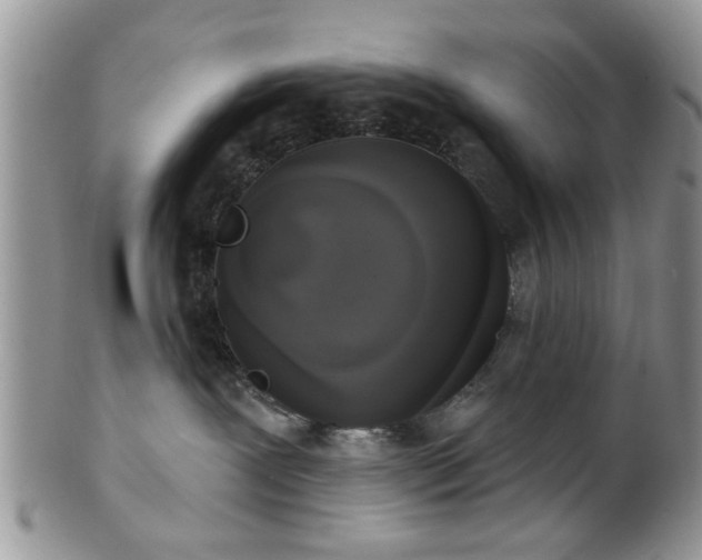 X0000101970239200807251218