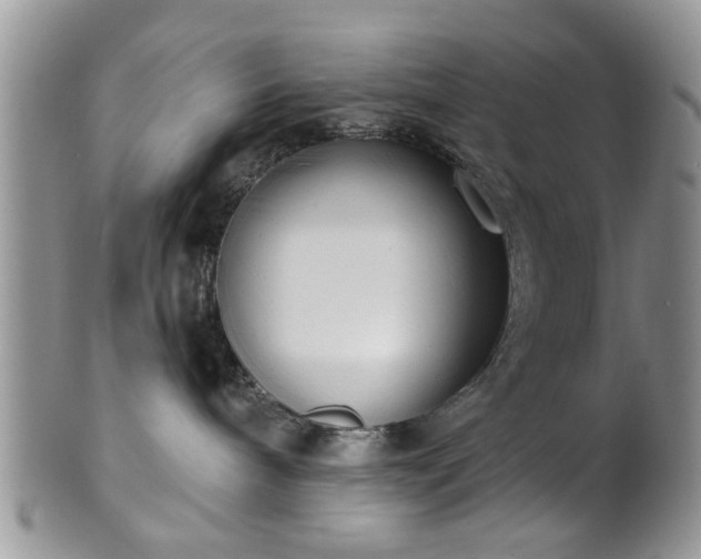 X0000101970240200807251218