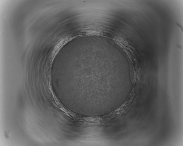 X0000101970241200807251217