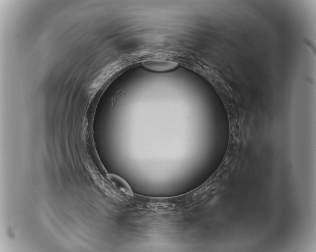 X0000101970242200807251217