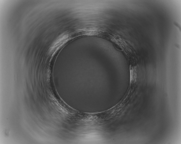 X0000101970243200807251217