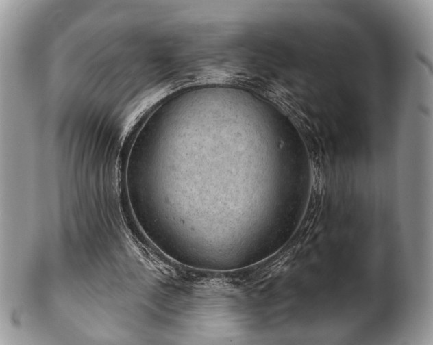 X0000101970244200807251217