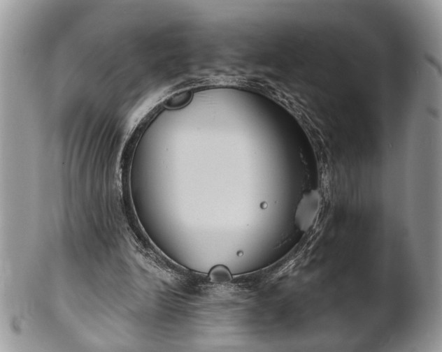 X0000101970246200807251217