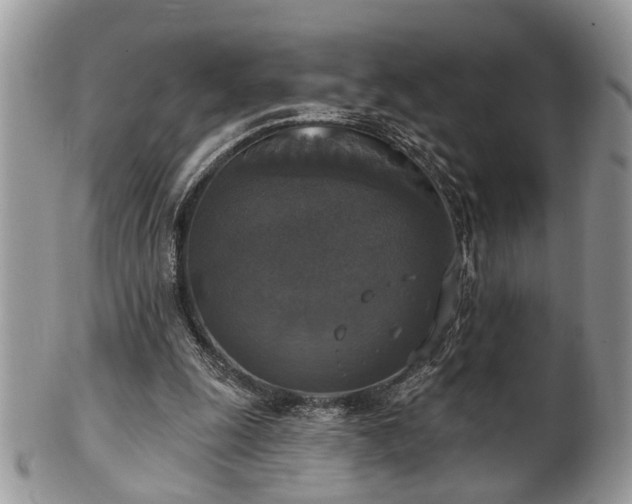 X0000101970247200807251217