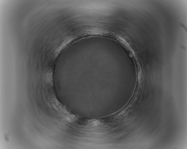 X0000101970249200807251217