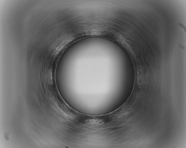 X0000101970251200807251217