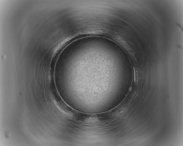 X0000101970252200807251217