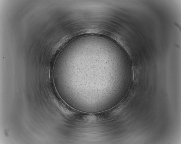 X0000101970253200807251217