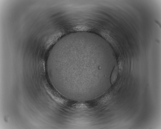 X0000101970254200807251217