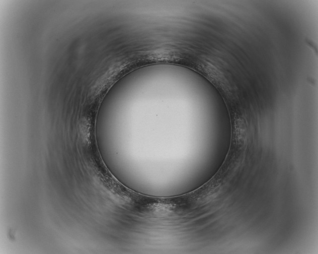 X0000101970255200807251217