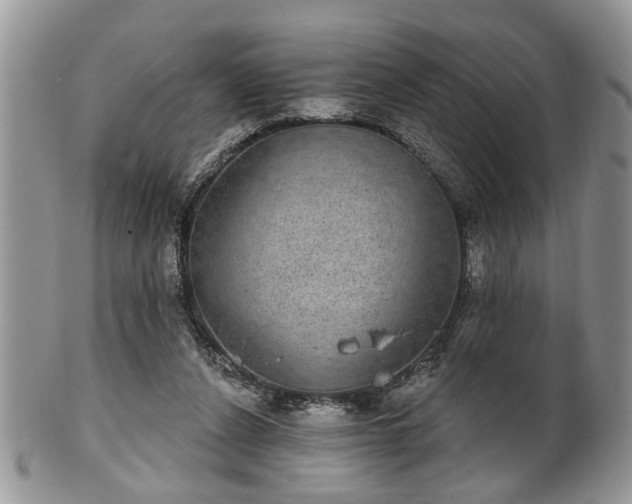 X0000101970256200807251217