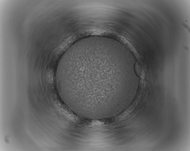 X0000101970257200807251217
