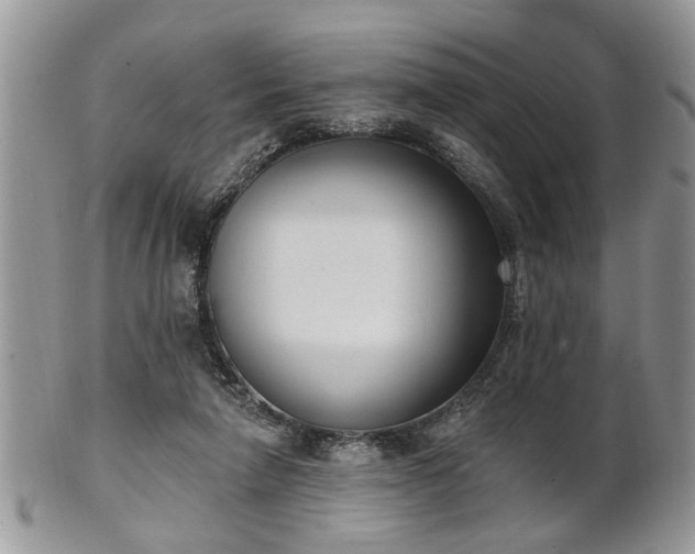 X0000101970258200807251217