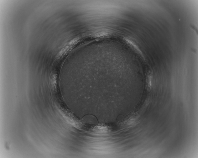 X0000101970260200807251217