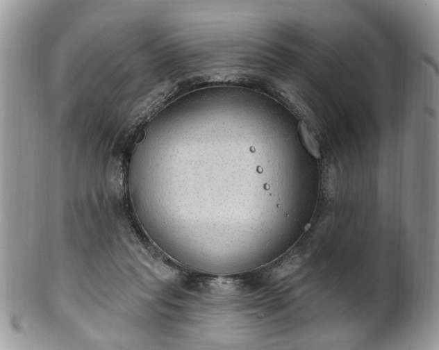 X0000101970261200807251217