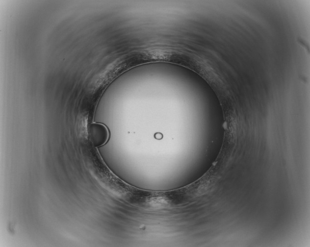 X0000101970262200807251217