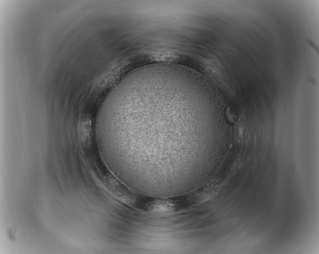 X0000101970263200807251217